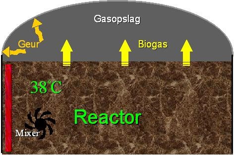 Biogasreactor